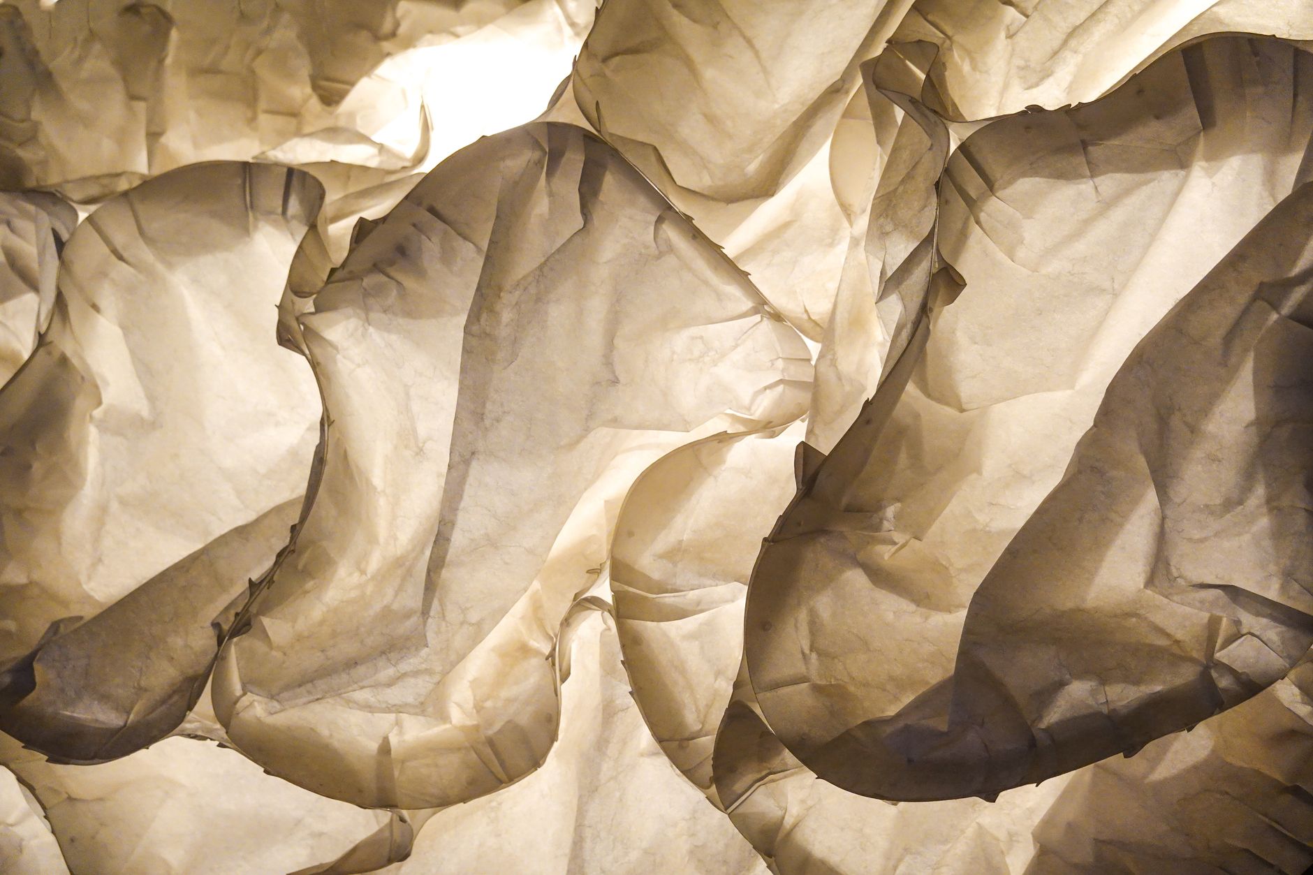 A paper installation for a shop window, detail